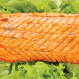 Salad ceasar salmon